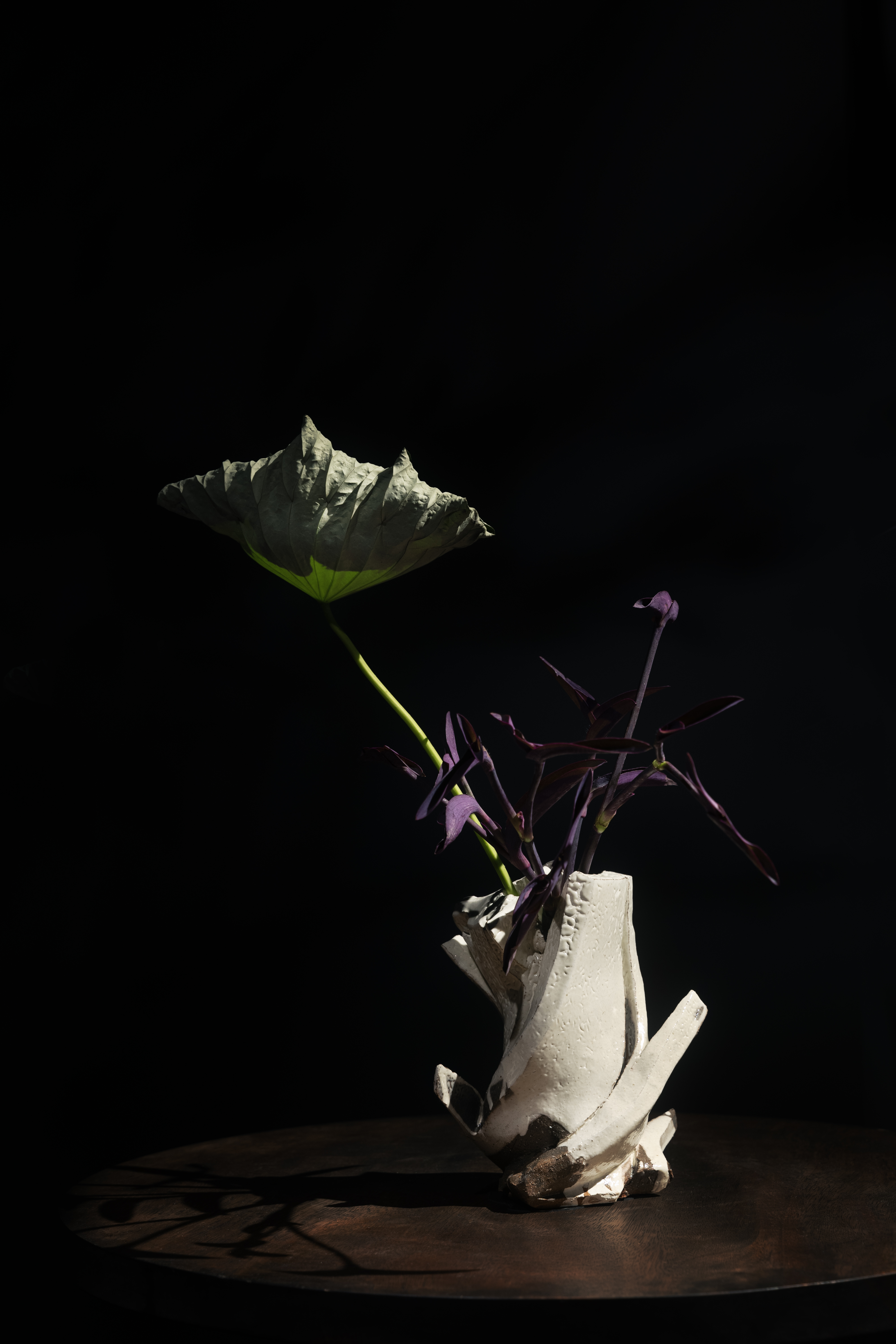 White ceramic vessel with leaves and flowers emerging from darkness