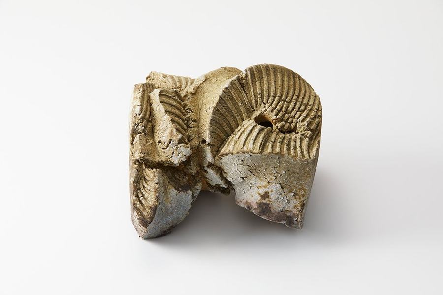 Natural Ash Sculpture, 2018, WORK-030
